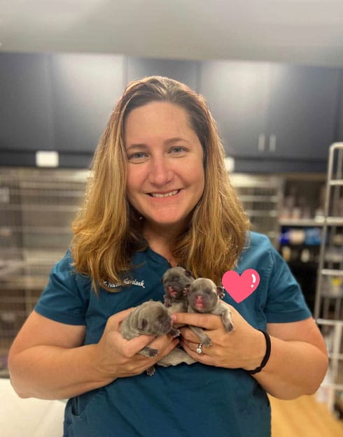Dr. Hamisak, veterinarian at St. Petersburg Animal Hospital & Urgent Care in St. Petersburg, FL