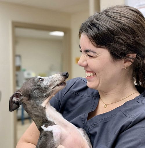 Veterinary professional greeting a pet during a routine care visit in St. Petersburg, FL
