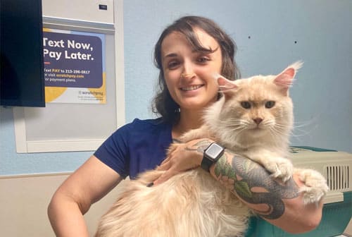 Happy dog receiving attentive veterinary care at St. Petersburg Animal Hospital
