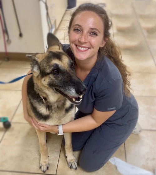Veterinarian examining a pet as part of general veterinary services in St. Petersburg, FL
