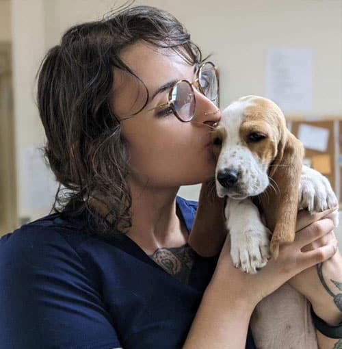 Happy, healthy pets receiving veterinary care at St. Petersburg Animal Hospital & Urgent Care
