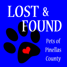 Lost and found pet resource graphic, helping reunite missing pets with owners in St. Petersburg, FL